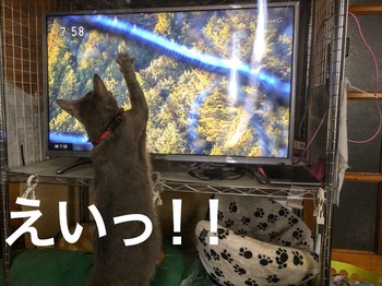 30C77BC2-84FB-4A6A-AC04-677DA127810B.jpeg